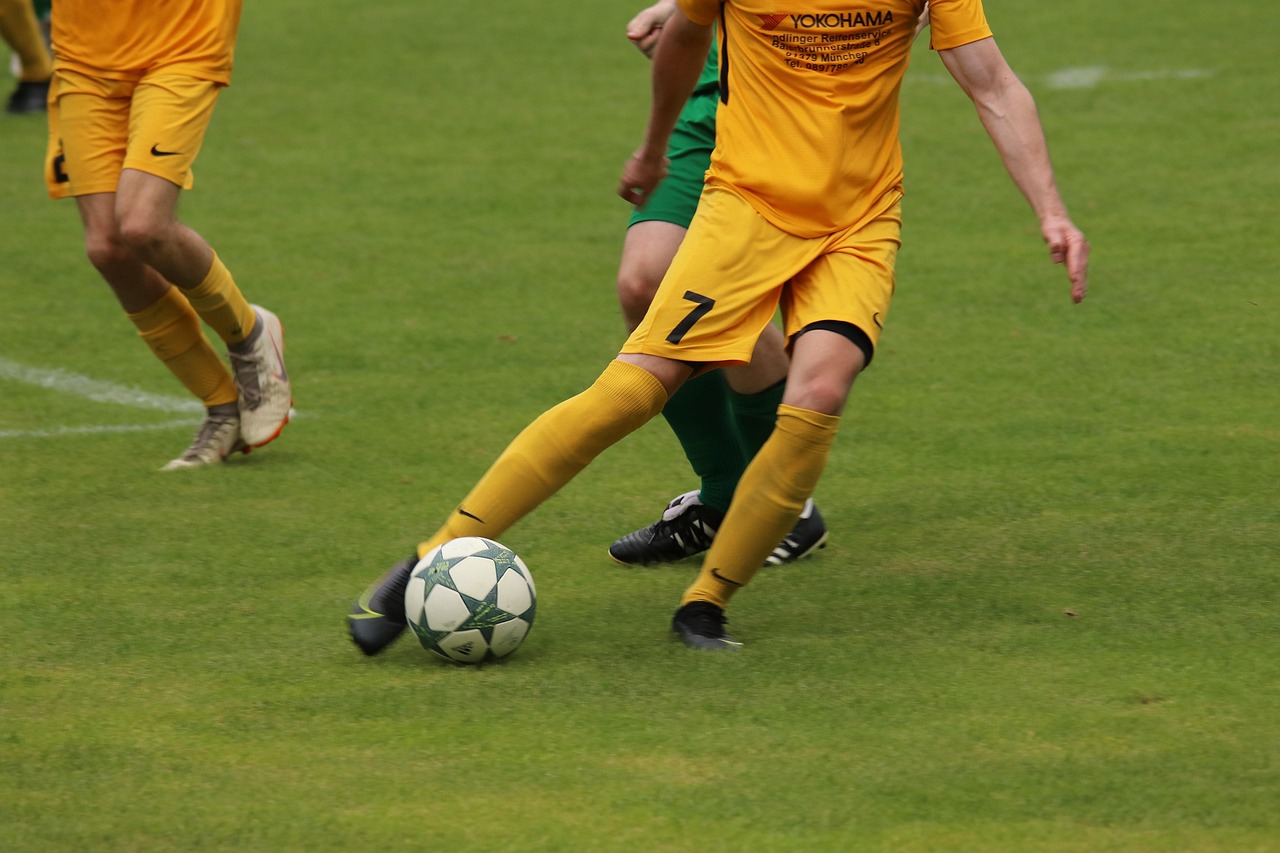 以尽快适应 以尽快适应