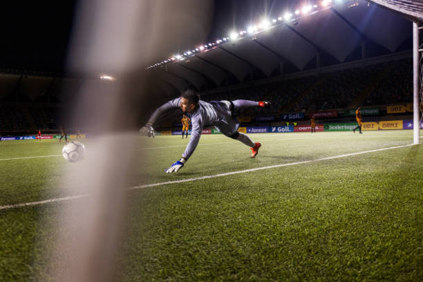 归波尔图 归波尔图